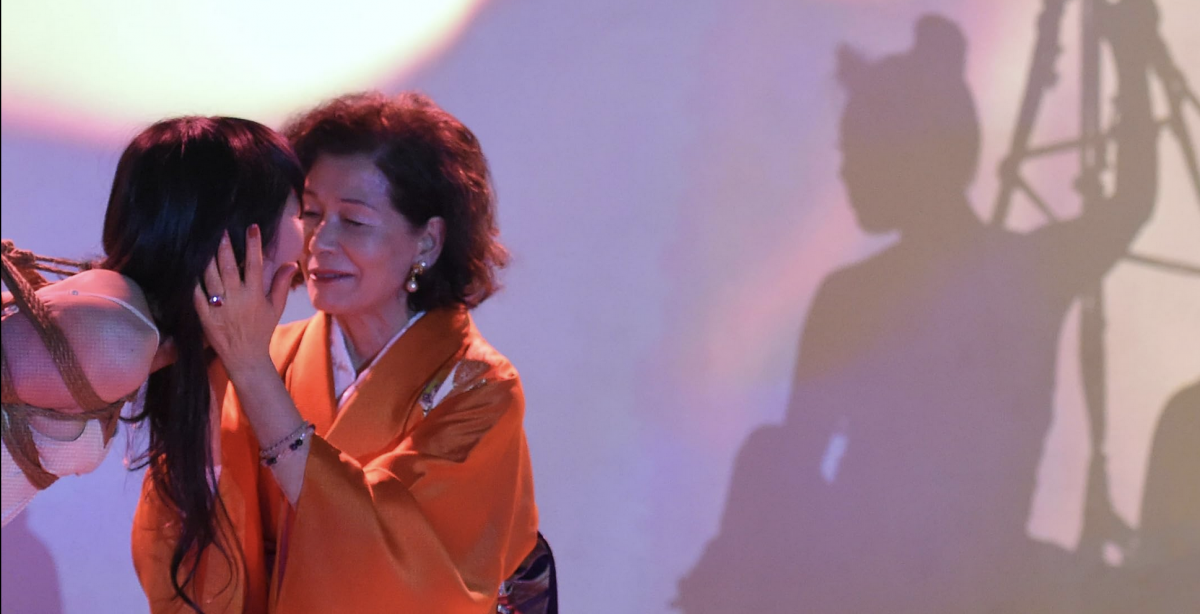 dawn_of_the_felines.png Thumbnail